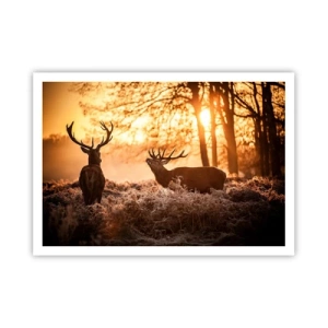 Plakát - Sen myslivce - 100x70 cm
