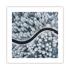 Plakát - Zimním lesem - 40x40 cm