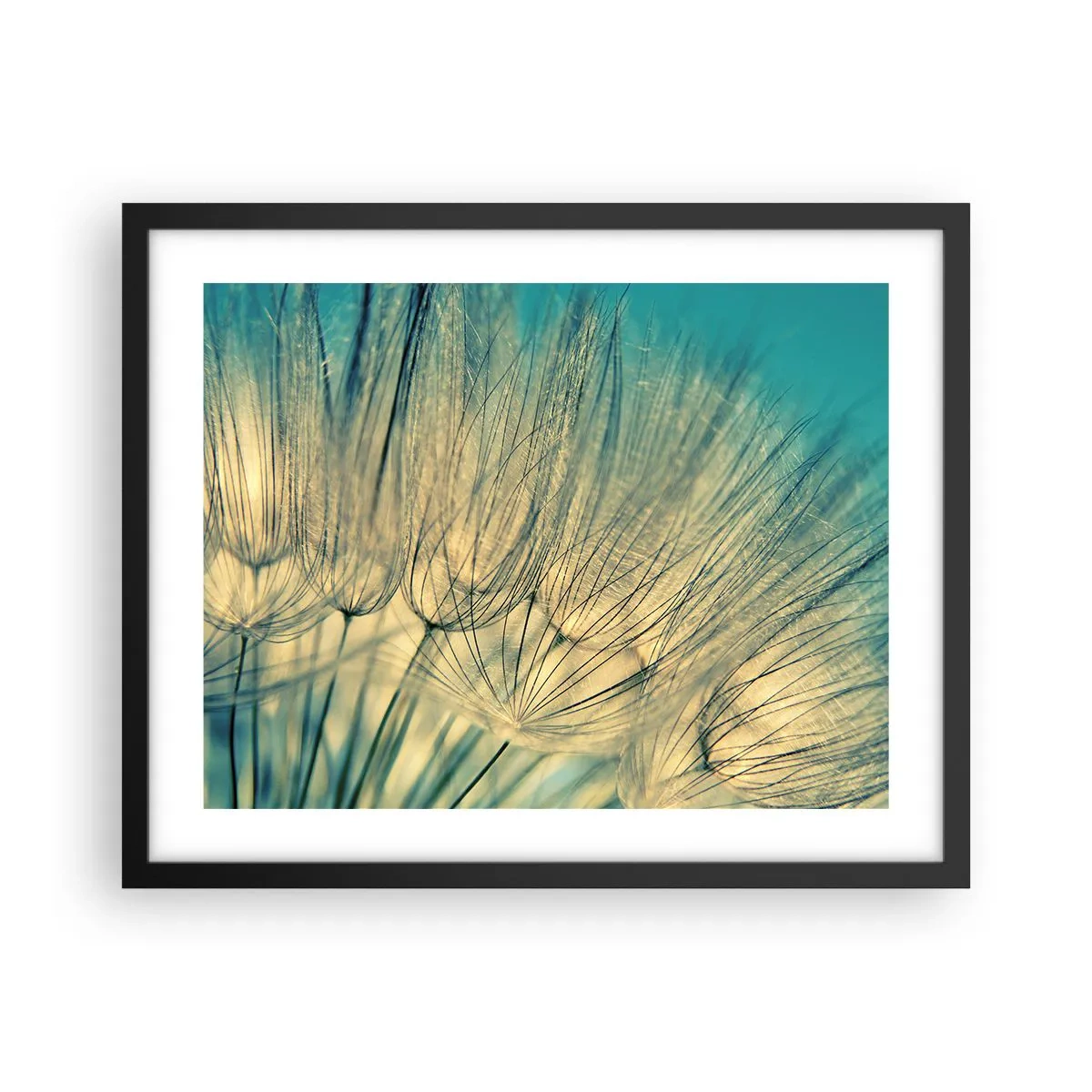 Plakát v černém rámu - Čekání na vítr - 50x40 cm