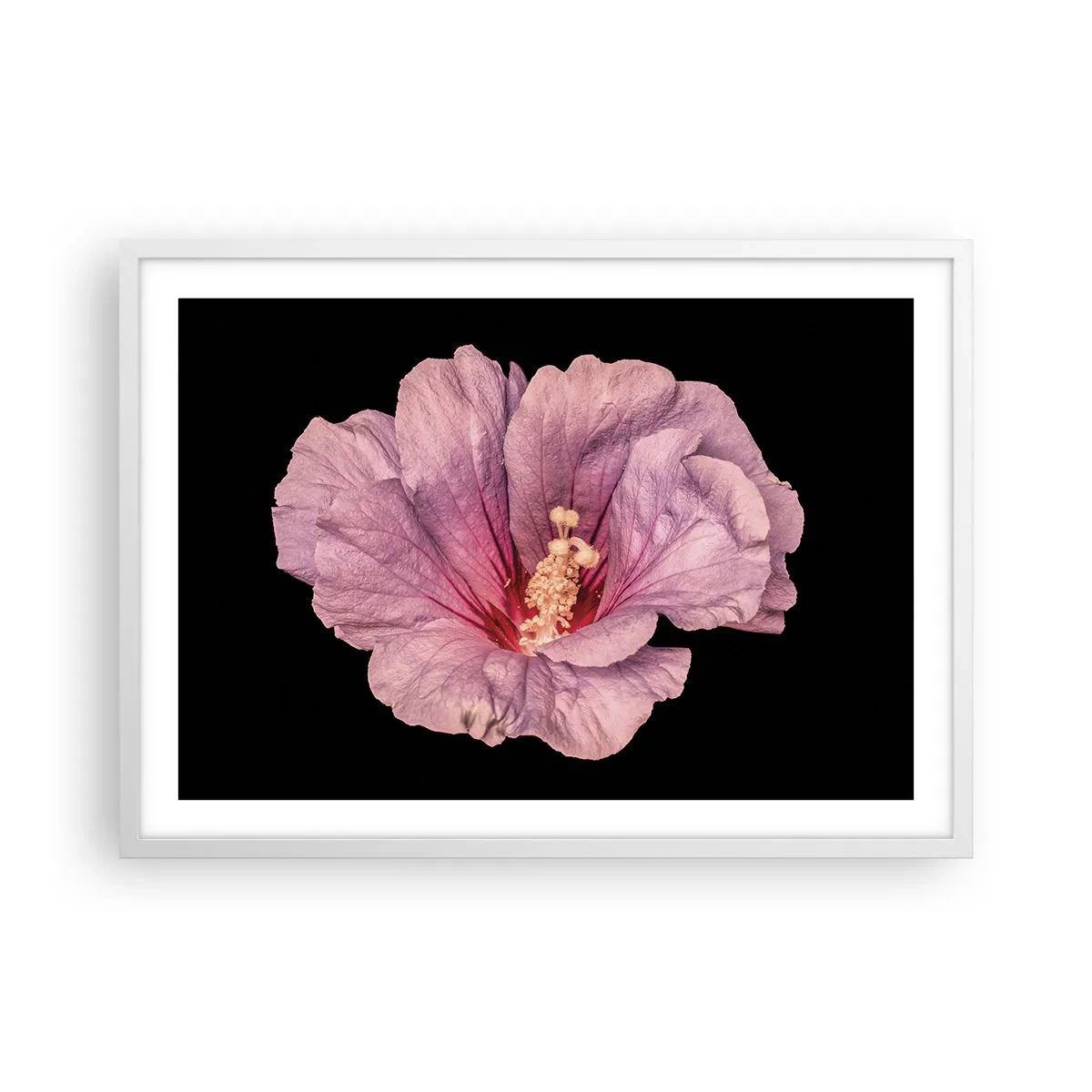 Plakát v bílém rámu - Přímo do srdce - 70x50 cm