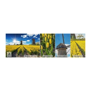 Vzor Fototapety Premium Canvas - Více nizozemský nemůže být - Krajina, Fanoušek, tulipány - 100x30 cm