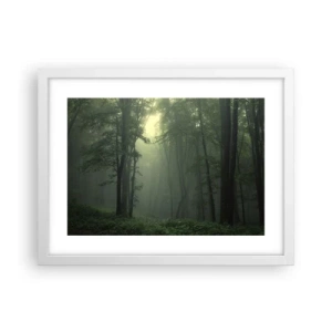 Plakát v bílém rámu - Než se probudí - 40x30 cm