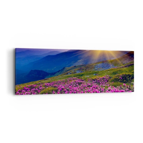 Obraz na plátně - …A kolem voní kosodřevina a voní byliny - 90x30 cm