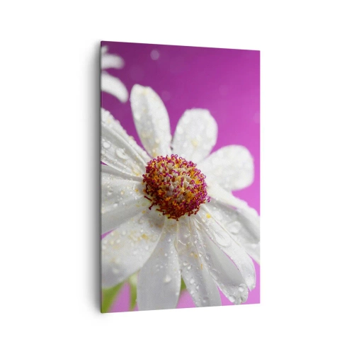 Obraz na plátně - Skromný ve své kráse - 80x120 cm