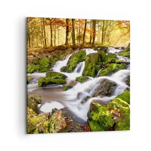 Obraz na plátně - Chvatem podzimním lesem - 60x60 cm