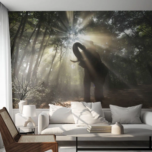Fototapeta Premium Canvas - Pod šťastnou hvězdou - Krajina, Slon, Džungle - 100x70 cm