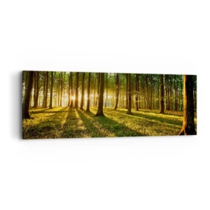 Obraz na plátně - Fotografie všech jar - 90x30 cm