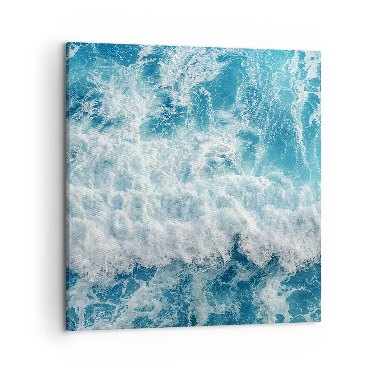 Obraz na plátně - Radostně a skákavě - 50x50 cm