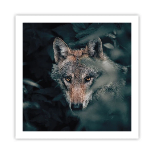 Plakát - Predátor - 60x60 cm