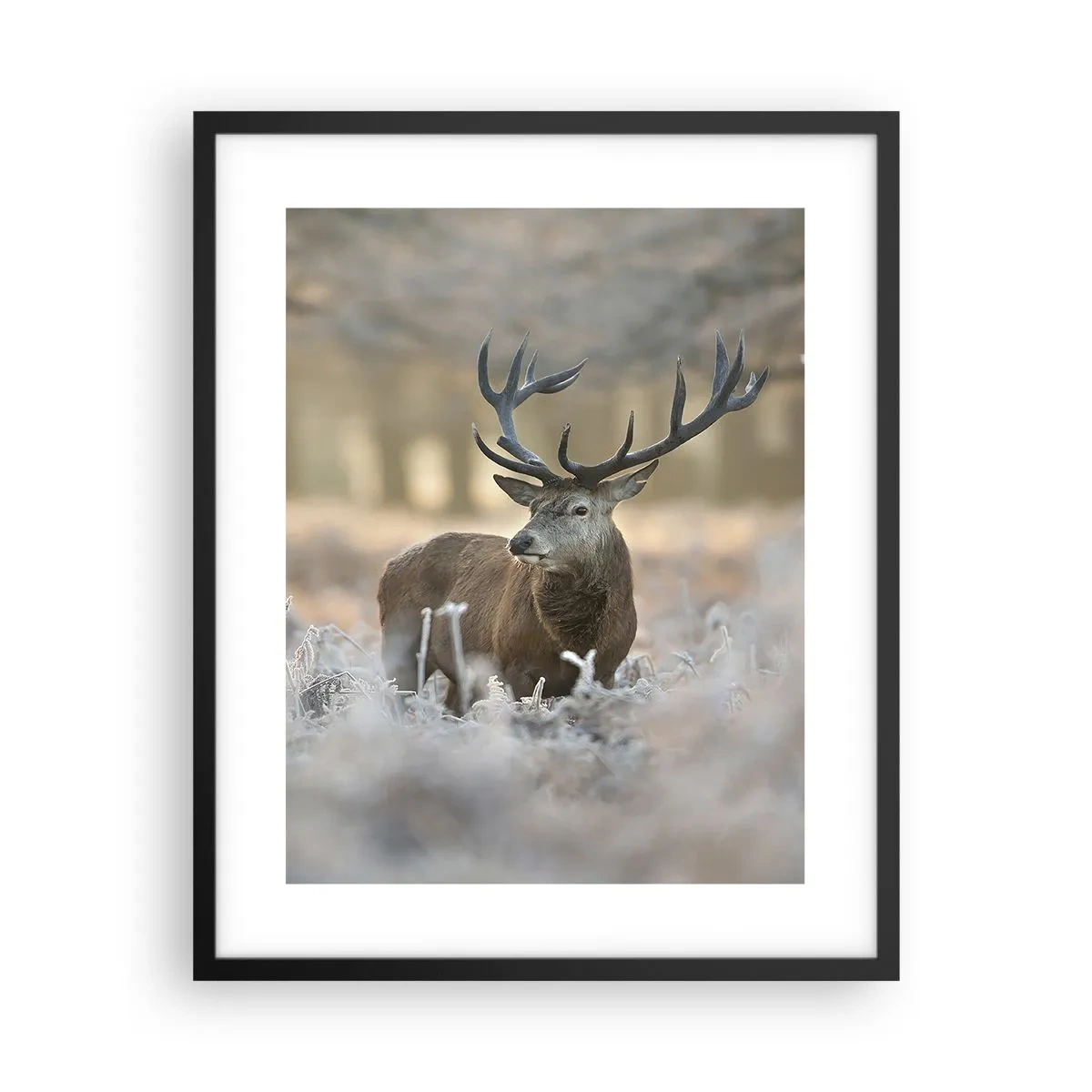 Plakát v černém rámu - Svěží ráno - 40x50 cm