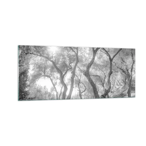 Obraz na skle - V olivovém háji - 100x40 cm
