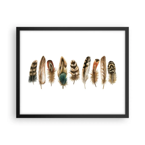 Plakát v černém rámu - Opeřená variace - 50x40 cm