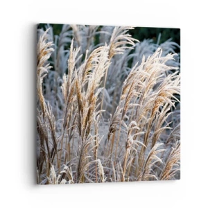 Obraz na plátně - Mrazem pokryté - 30x30 cm
