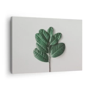 Obraz na plátně - Snítka zelených listů na světlém pozadí - 70x50cm - Kresba samotné přírody - Moderní nástěnná dekorace do obývacího pokoje a ložnice ARTTOR