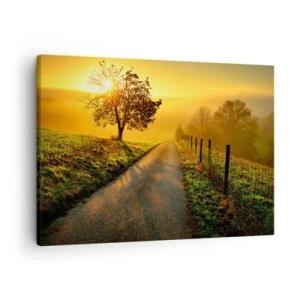 Obraz na plátně - Malebná silnice při západu slunce s osamělým stromem v pozadí - 70x50cm - Medové odpoledne - Moderní nástěnná dekorace do obývacího pokoje a ložnice ARTTOR