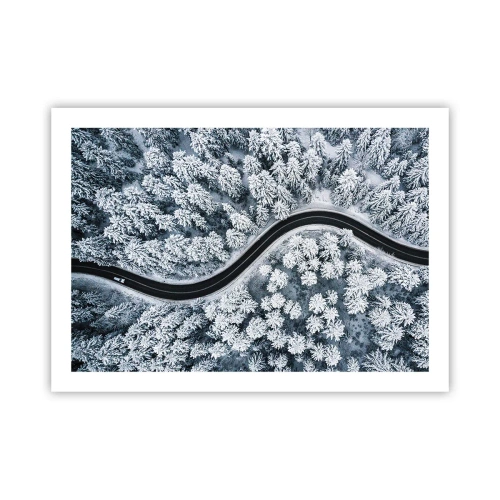 Plakát - Zimním lesem - 70x50 cm
