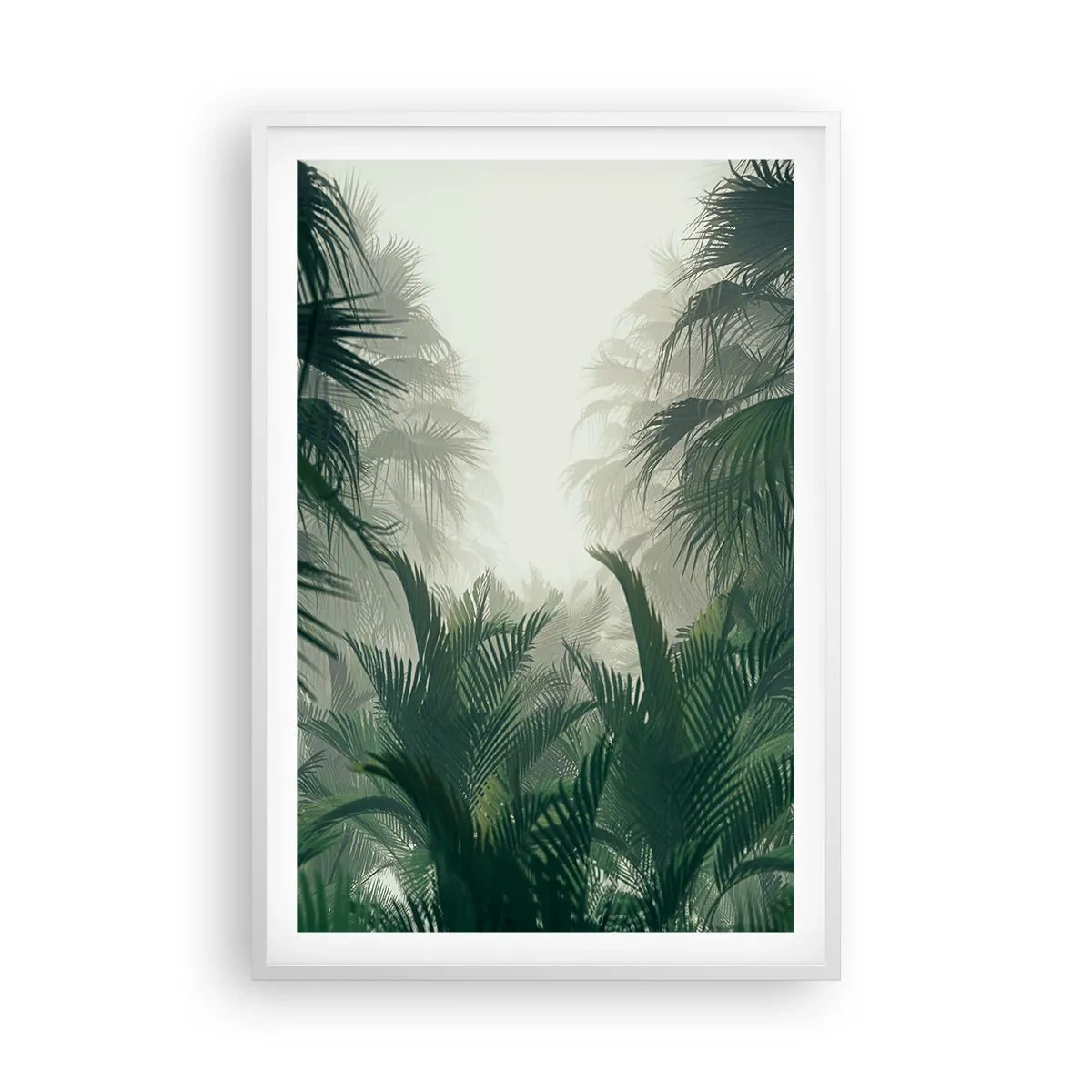 Plakát v bílém rámu - Tropická záhada - 61x91 cm