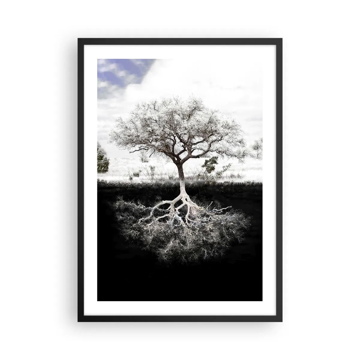 Plakát v černém rámu - Minimalistický strom s viditelným kořenovým systémem - 50x70cm - Objevení podstaty světa - Moderní nástěnná dekorace do obývacího pokoje a ložnice ARTTOR