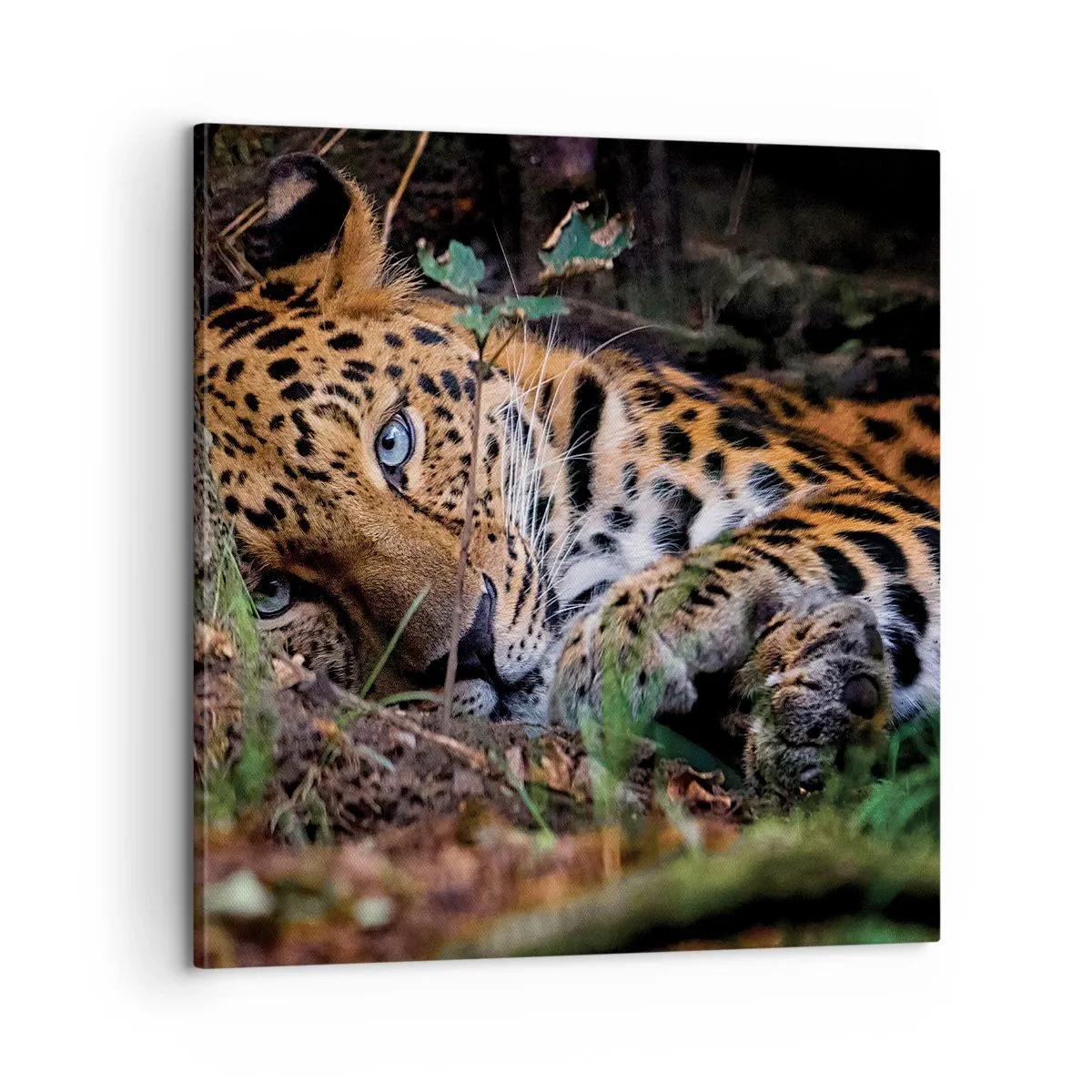 Obraz na plátně - Věř mi - 60x60 cm