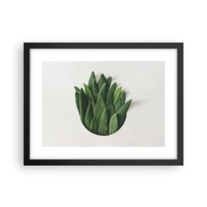 Plakát v černém rámu - Neukojitelná zvědavost - 40x30 cm