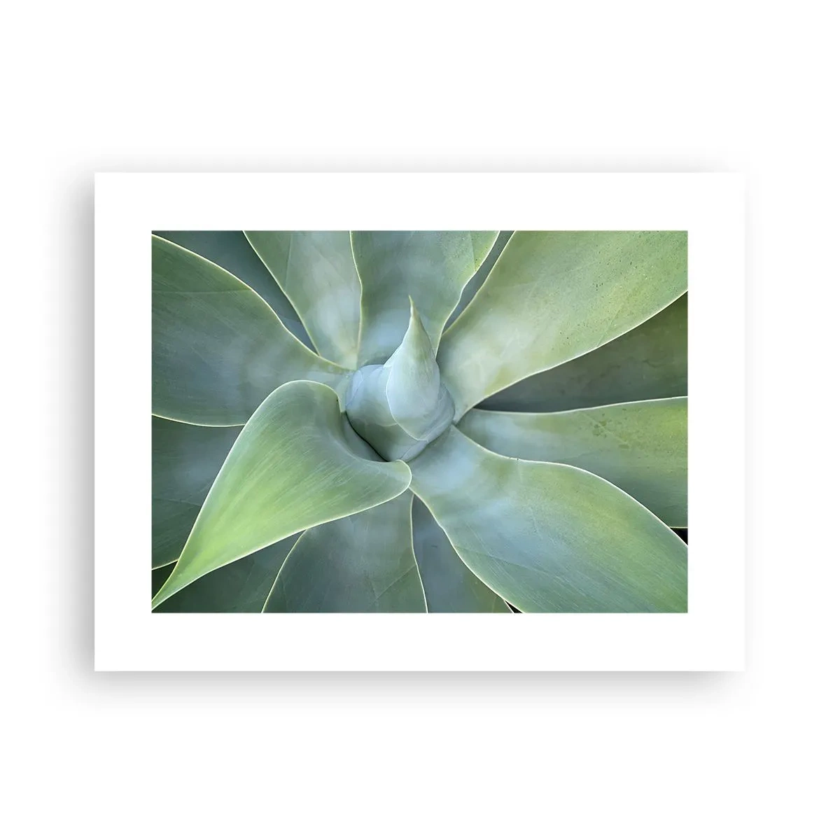 Plakát - Zrození zeleně - 40x30 cm