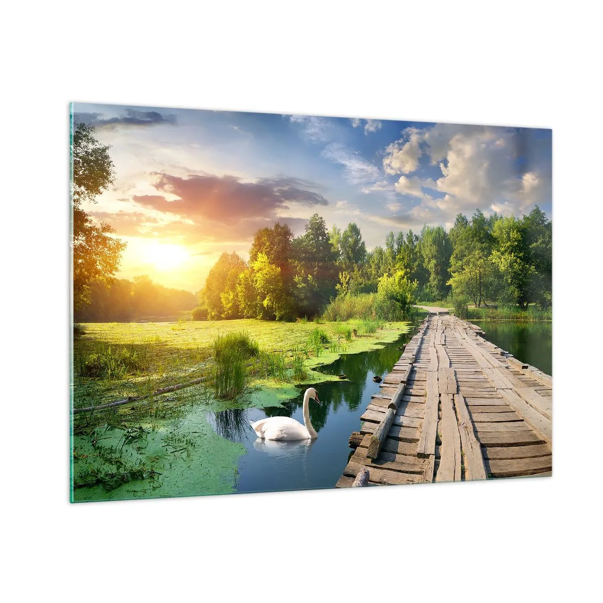 Obraz na skle - Léto, léto všude - 100x70 cm