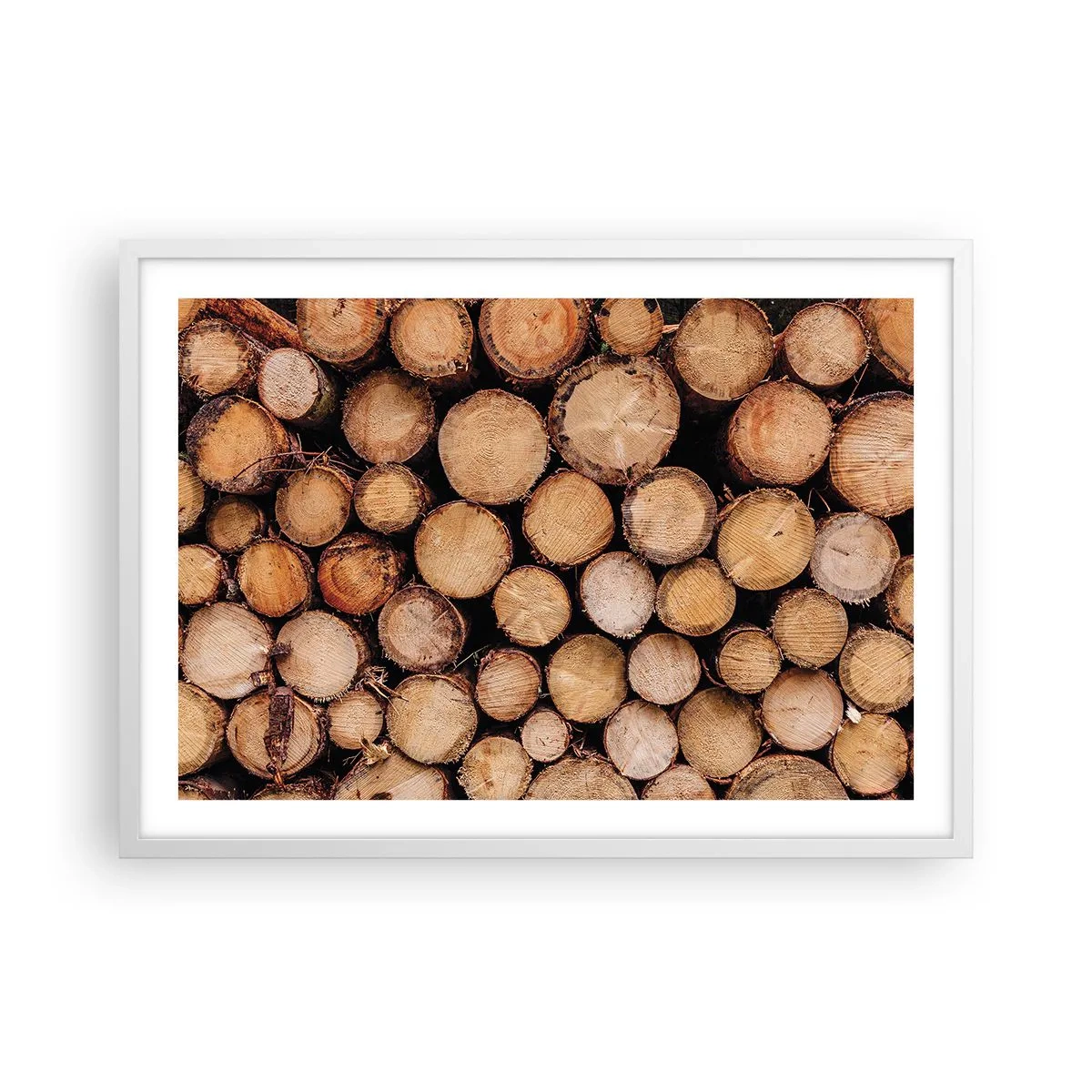 Plakát v bílém rámu - Nový začátek - 70x50 cm