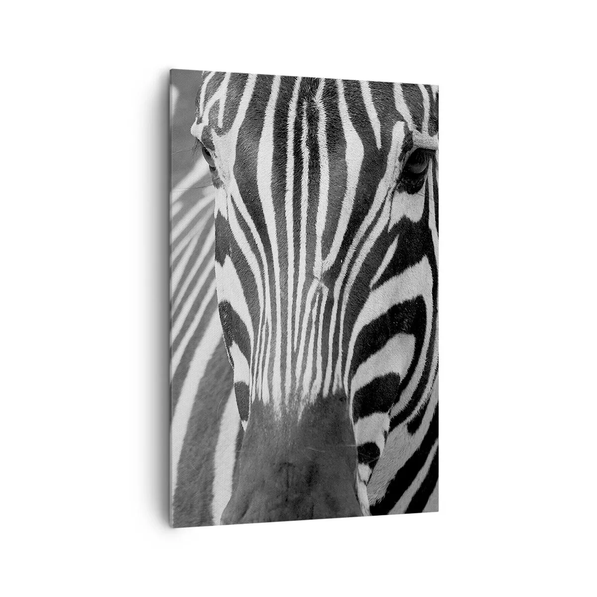 Obraz na plátně - Svět je černo-bílý - 80x120 cm