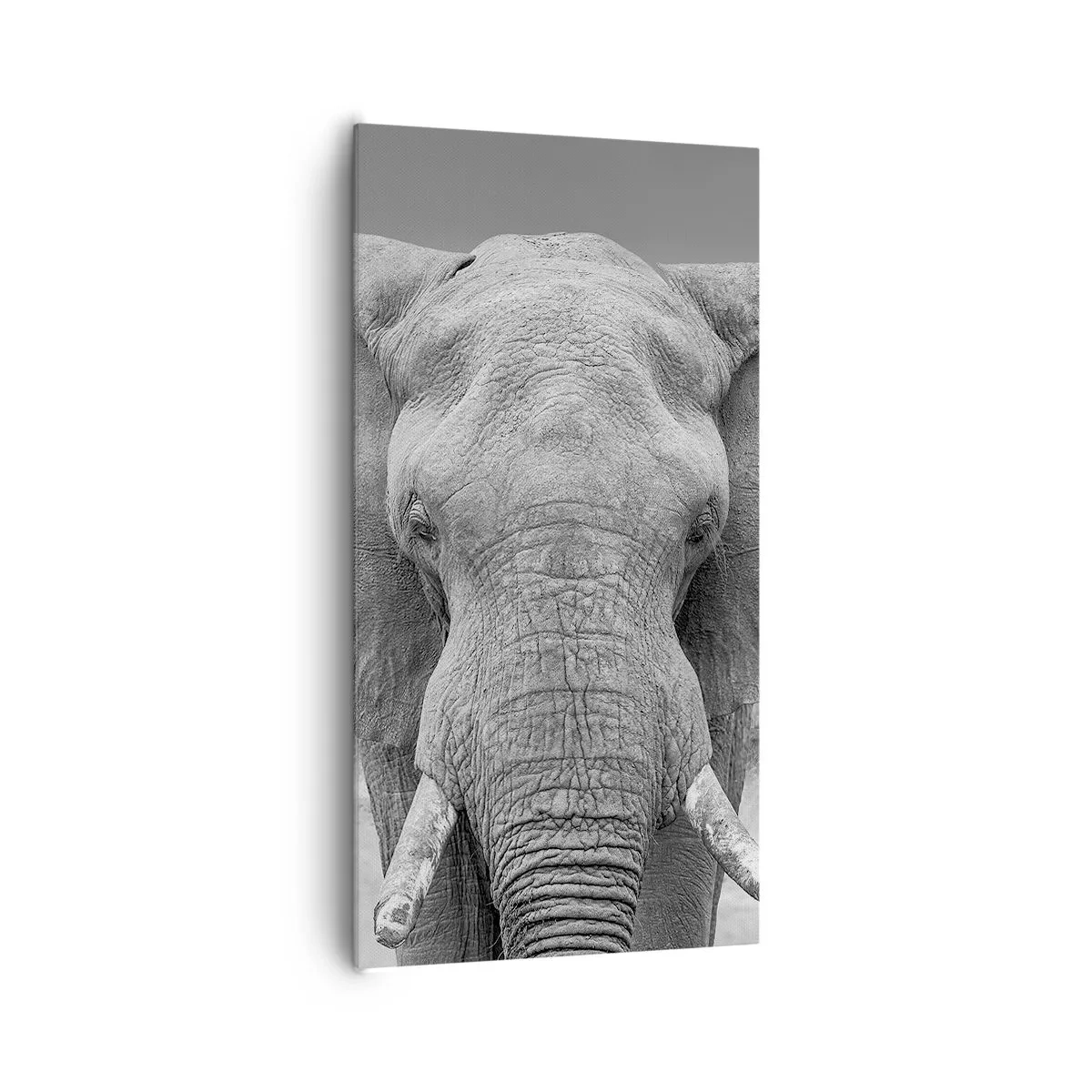 Obraz na plátně - Vítejte v mém světě - 65x120 cm