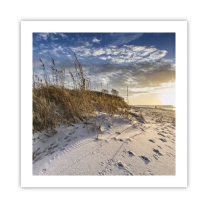 Plakát - Pozvánka na procházku - 50x50 cm