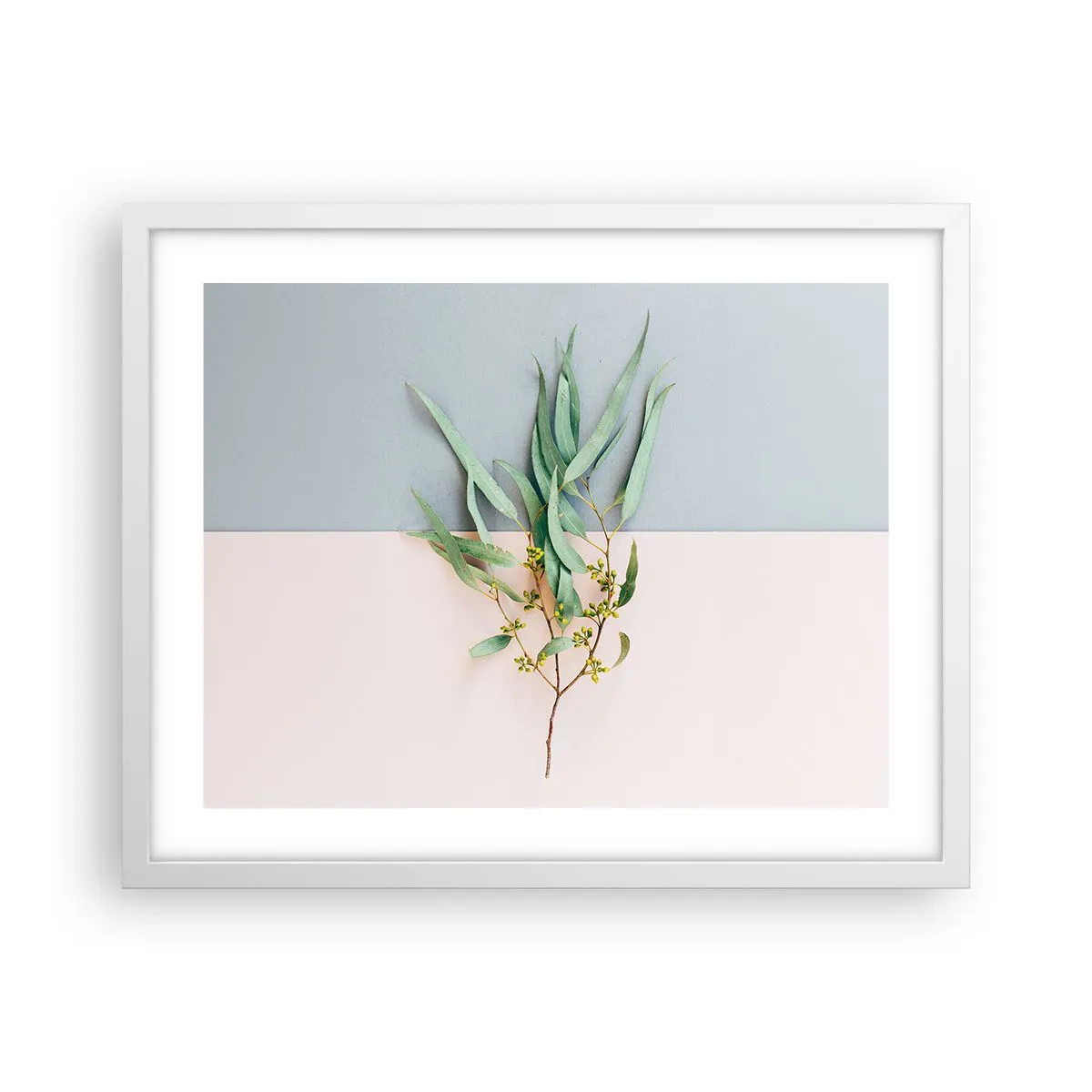 Plakát v bílém rámu - Pastelová jemnost - 50x40 cm