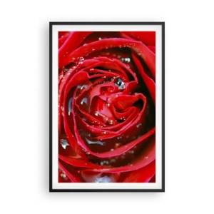 Plakát v černém rámu - V kapkách rosy - 61x91 cm