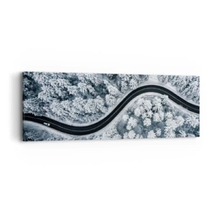 Obraz na plátně - Zimním lesem - 90x30 cm