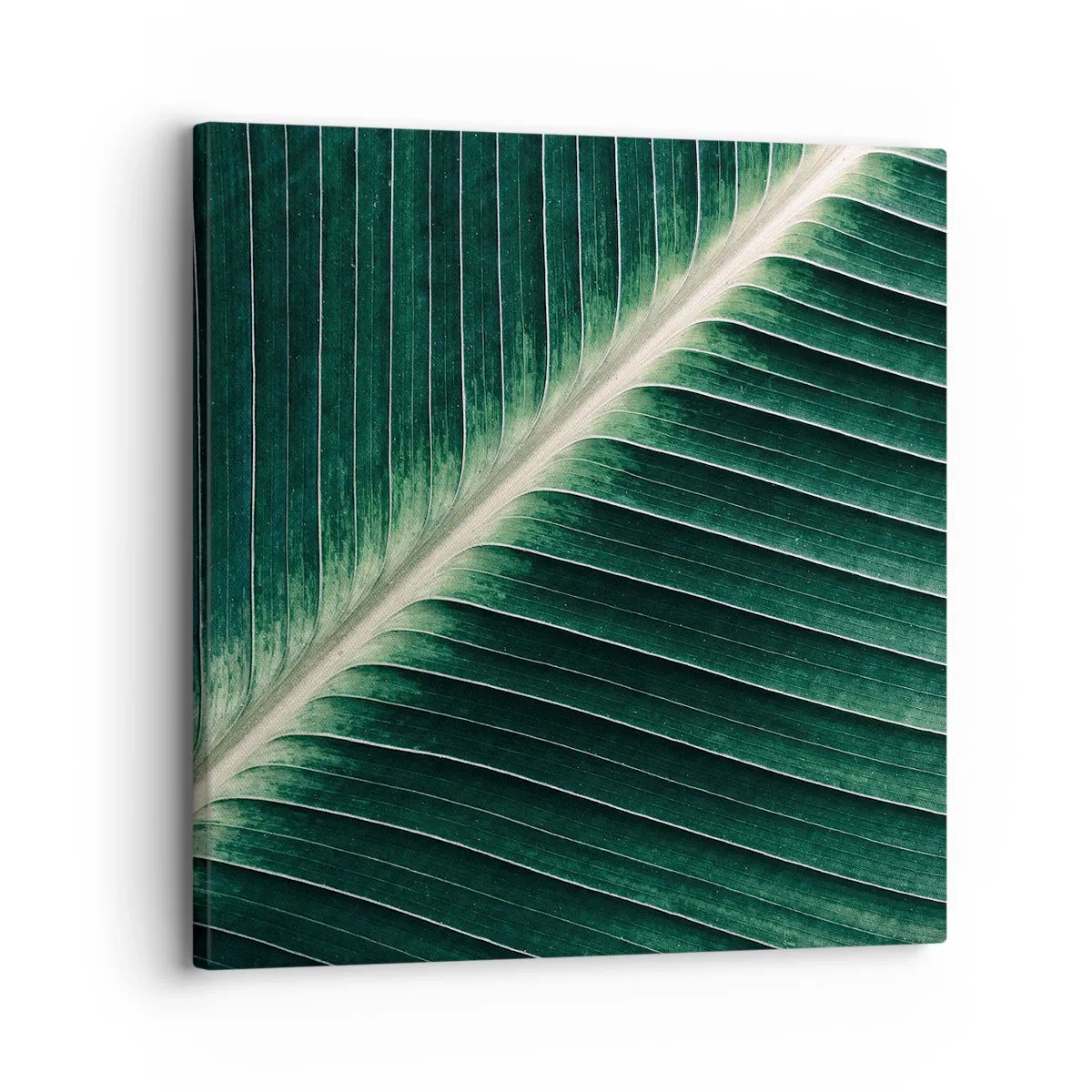 Obraz na plátně - Rytmus přírody - 30x30 cm