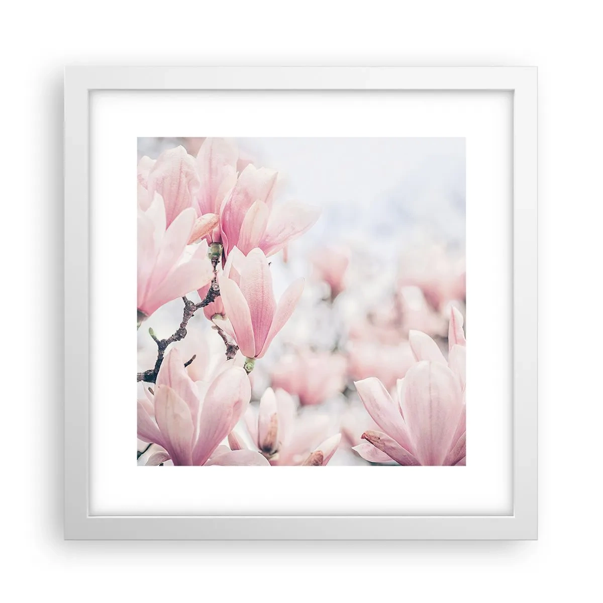 Plakát v bílém rámu - Ideál jemnosti - 30x30 cm