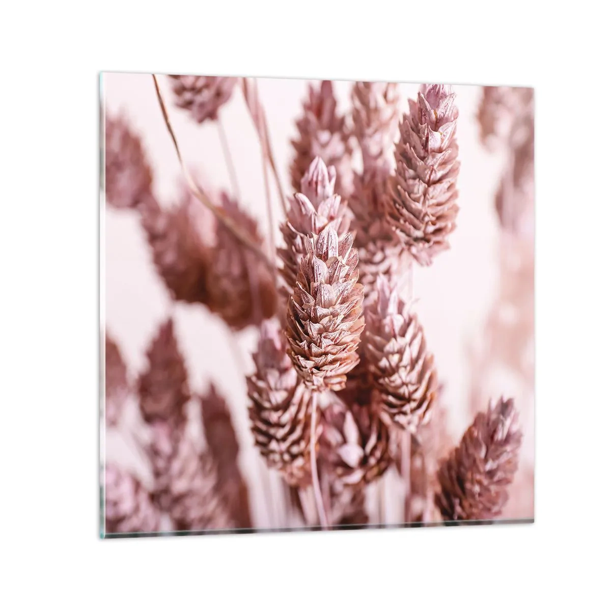 Obraz na skle - Zdánlivě nenápadné - 60x60 cm