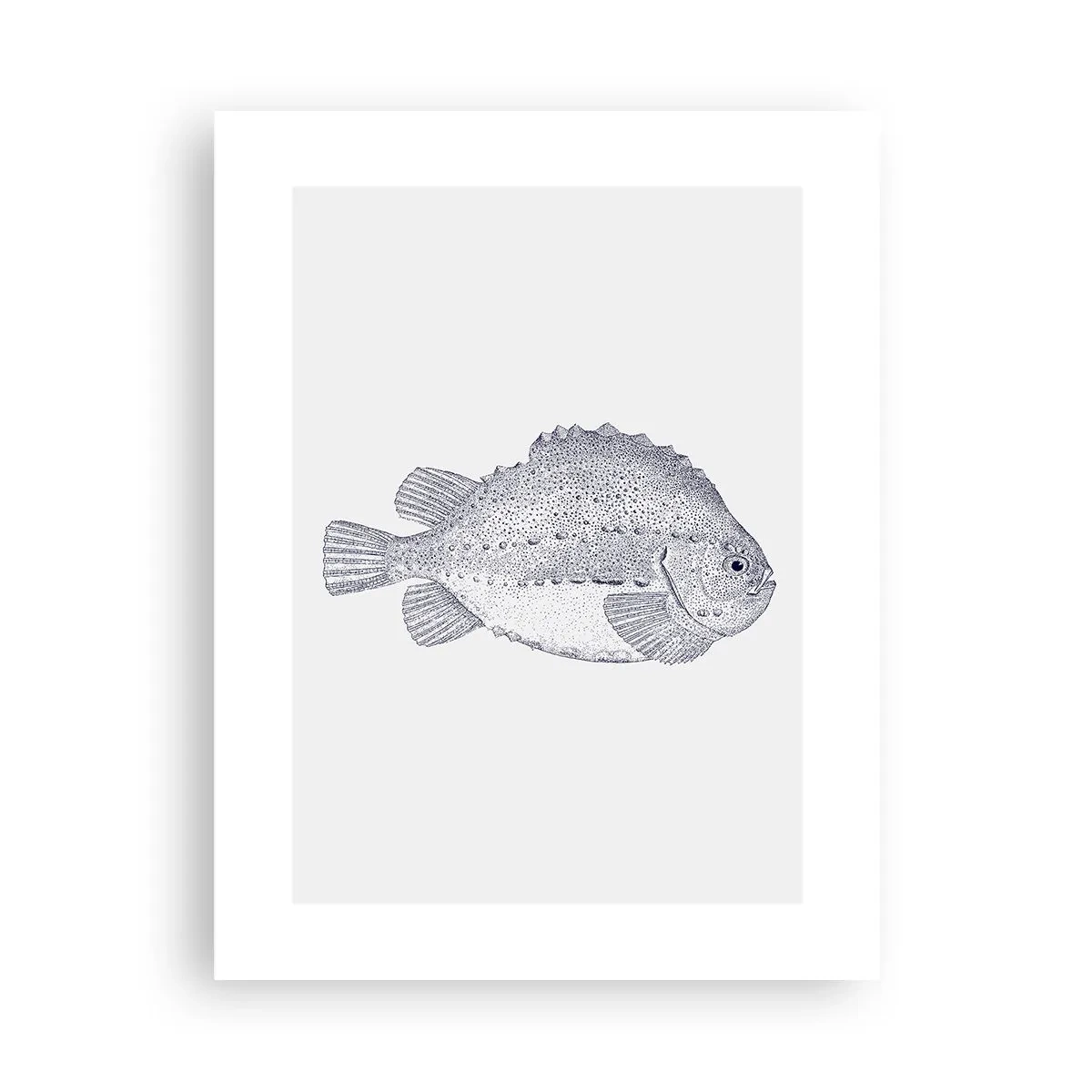 Plakát - Do alba přírodovědce - 30x40 cm