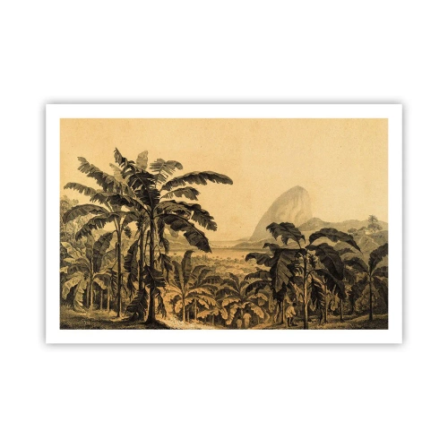 Plakát - V koloniálním stylu - 91x61 cm