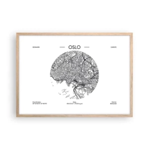 Plakát v rámu světlý dub - Anatomie Osla - 70x50 cm