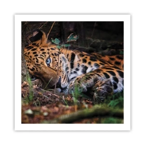 Plakát - Věř mi - 60x60 cm