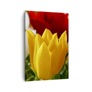 Obraz na plátně - Tulipánová horečka - 70x100 cm