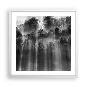 Plakát v bílém rámu - V paprscích světla - 50x50 cm