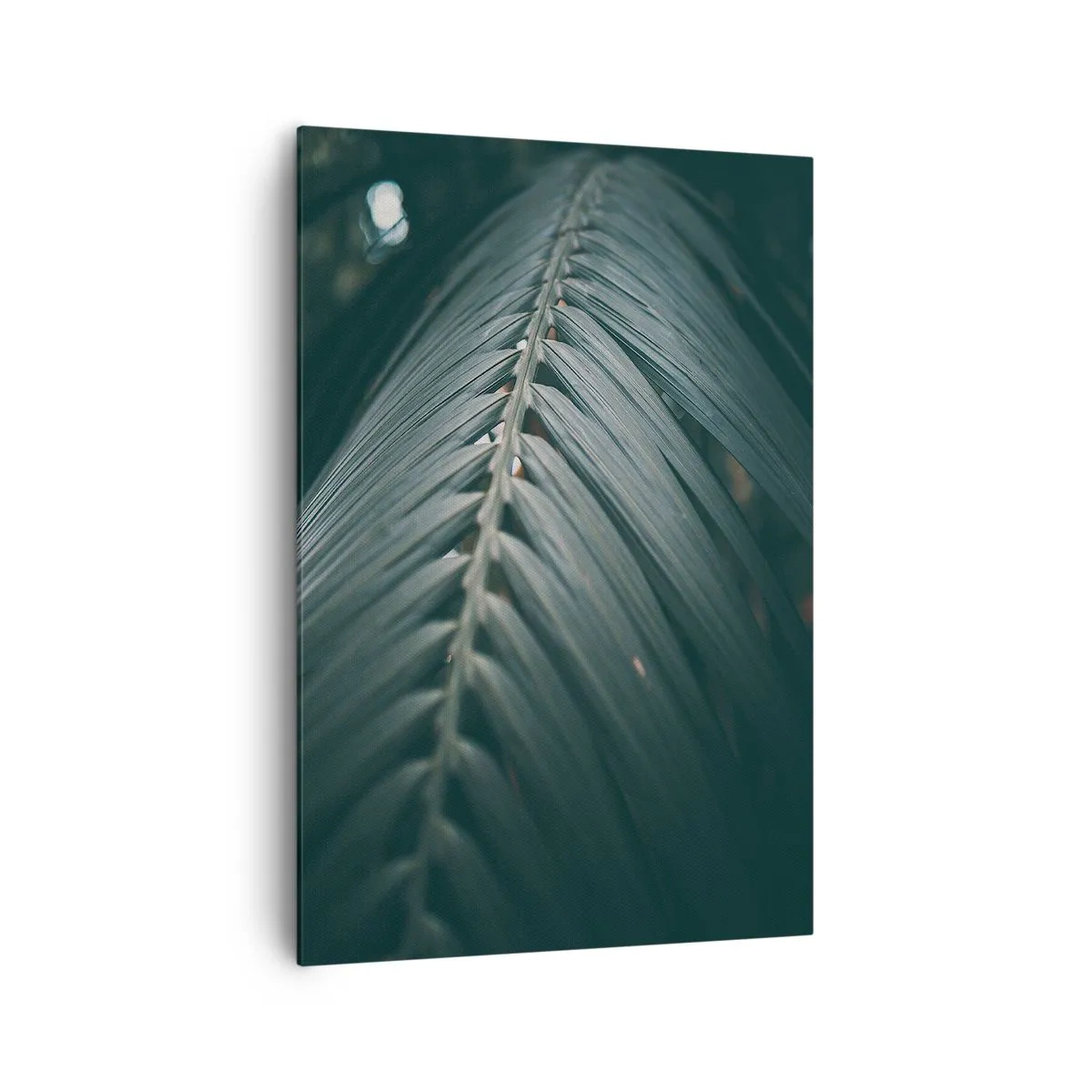 Obraz na plátně - Přesnost přírody - 70x100 cm