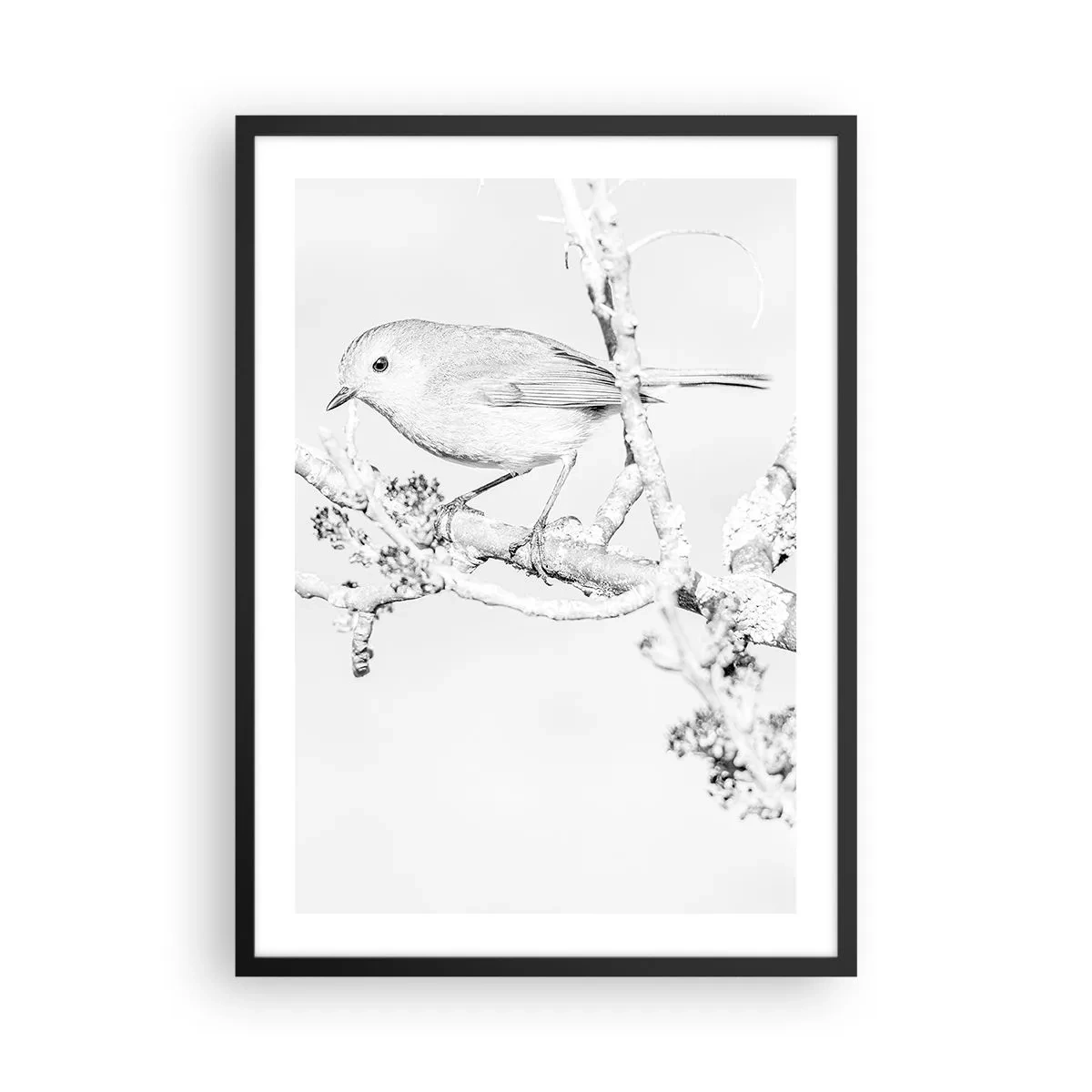 Plakát v černém rámu - Černobílá kresba ptáka na větvi - 50x70cm - Zimní ráno - Moderní nástěnná dekorace do obývacího pokoje a ložnice ARTTOR