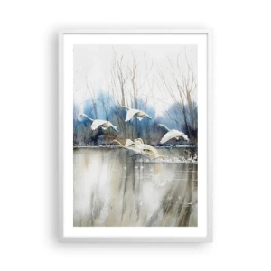 Plakát v bílém rámu - Jako v povídce o divokých labutích - 50x70 cm