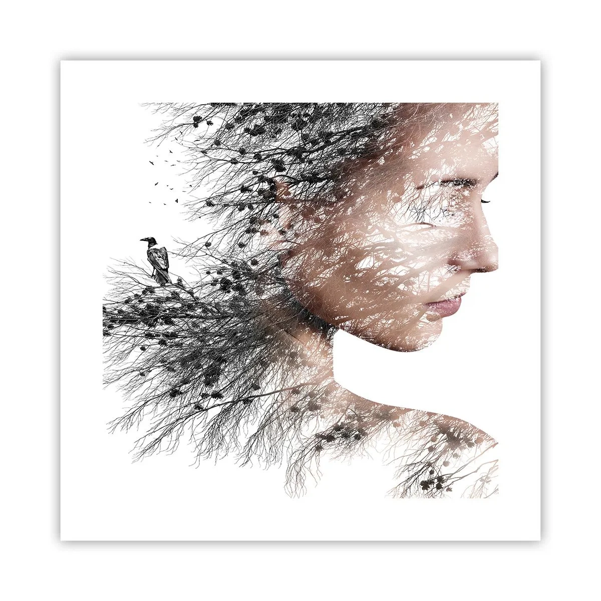 Plakát - Duch lesa - 40x40 cm
