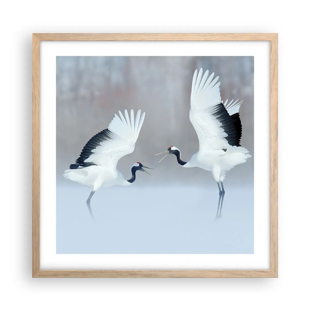 Plakát v rámu světlý dub - Tanec v mlze - 50x50 cm