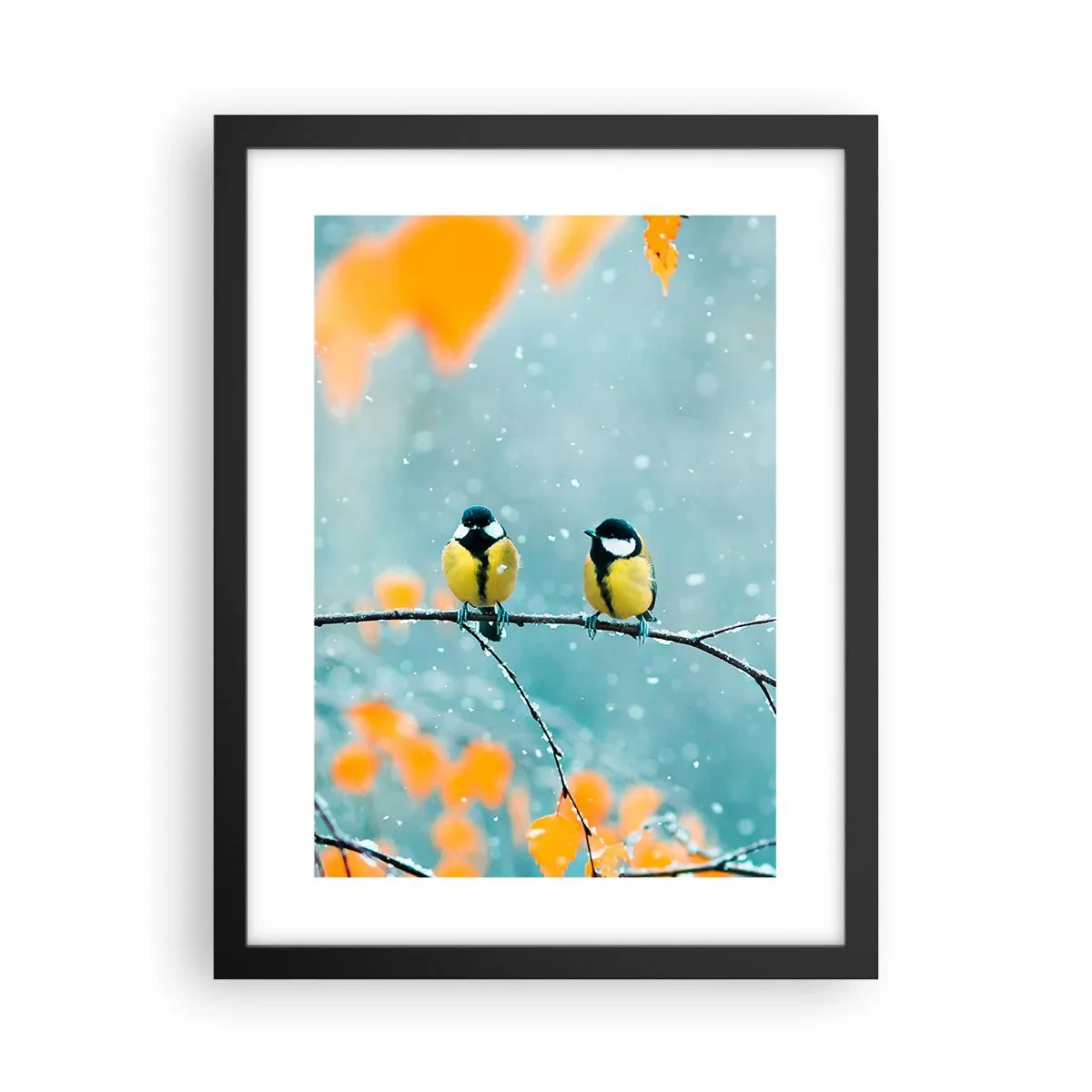 Plakát v černém rámu - Ptačí drby - 30x40 cm