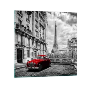 Obraz na skle - Dravec ve městě - 50x50 cm