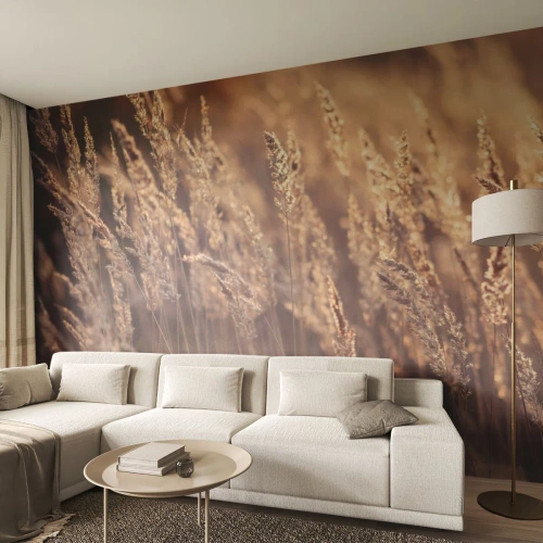 Fototapeta Samolepicí Deluxe Sticker - Připraveni přivítat podzim - Krajina, Klasy zrna, Louka - 350x256 cm
